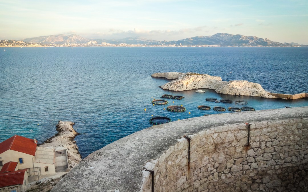 Port de Pomègues