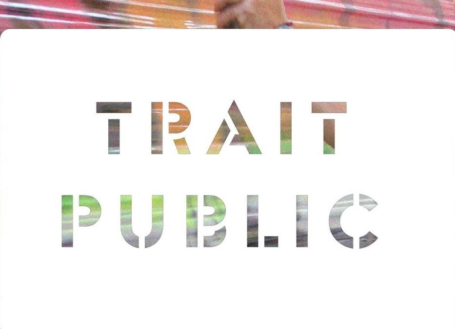 Trait Public