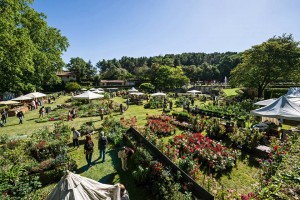 Les Jardins d'Albertas