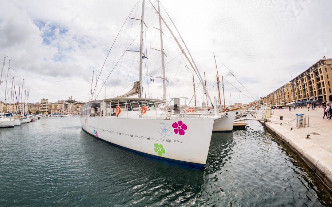 Brunch du Levantin Catamaran