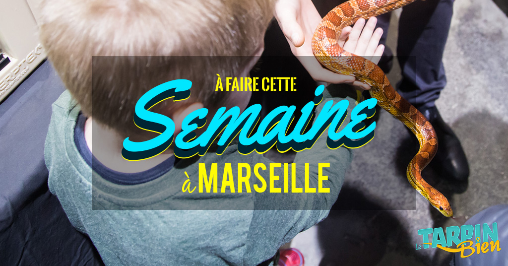Cette semaine à Marseille (Du 2 au 6 janvier)