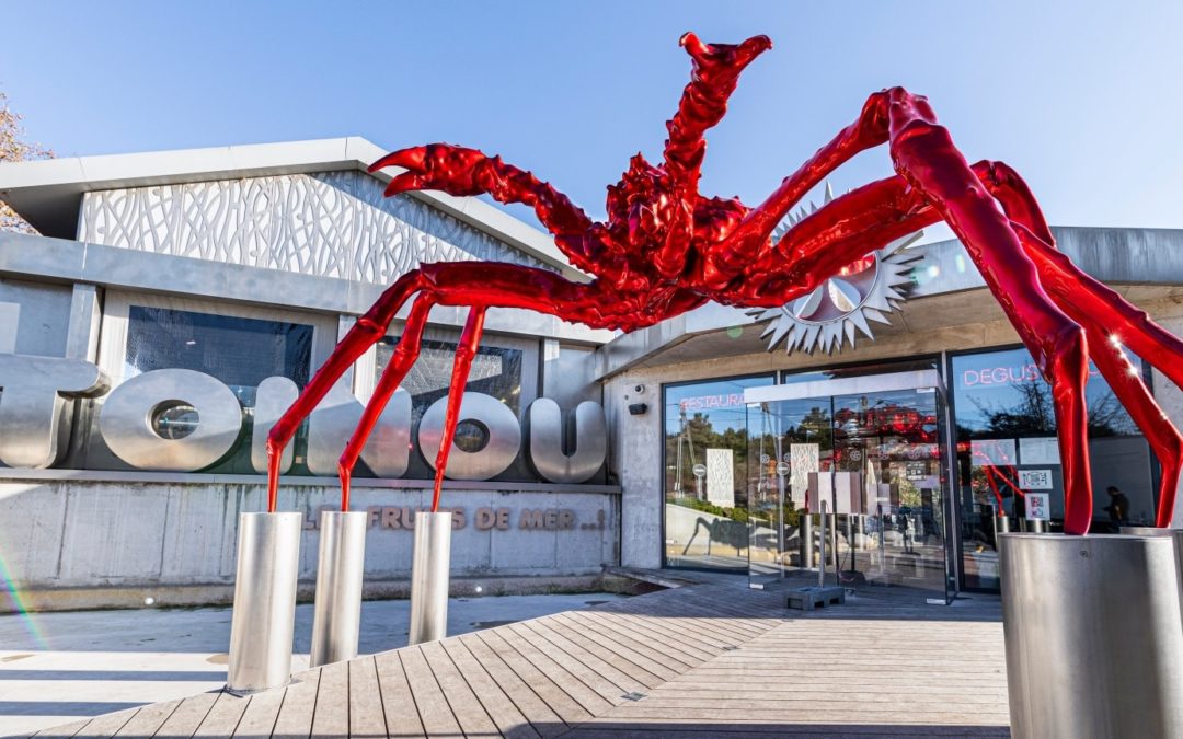 Toinou: les fruits de mer