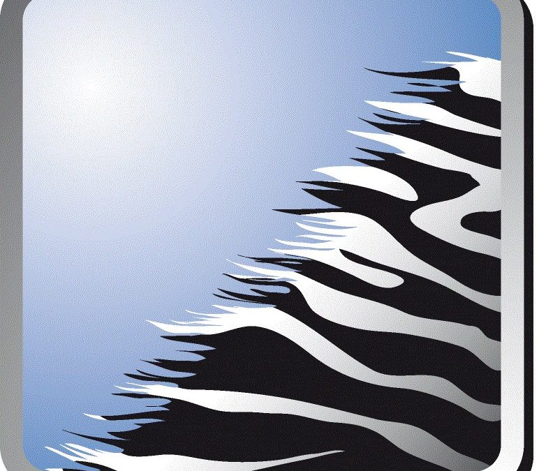Association Zebra
