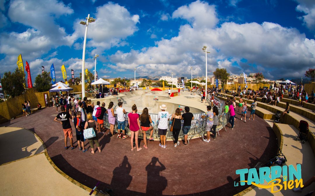 Pro Bowl Contest 2017