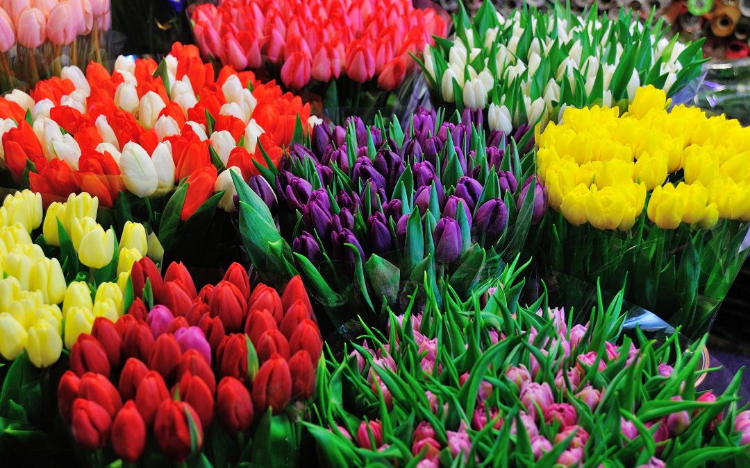 Marché aux fleurs des Réformés