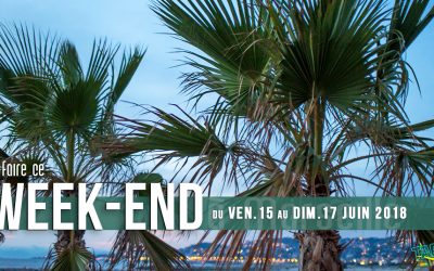Agenda des sorties marseillaise du week-end (15 au 17 juin 2018)