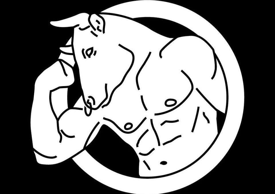 Les thermes – Sauna masculin