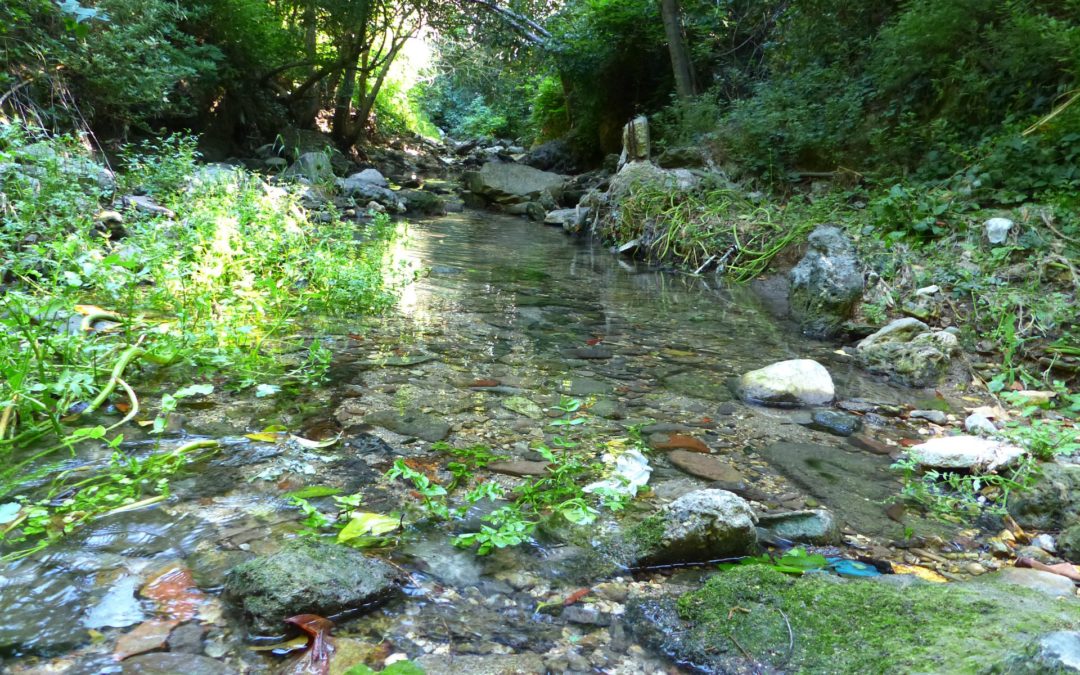 Cascade des Aygalades