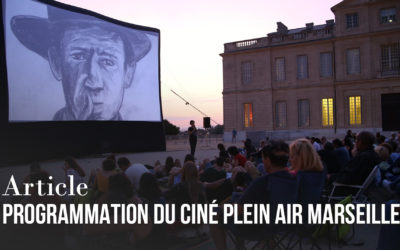 Programmation du Ciné Plein Air 2020