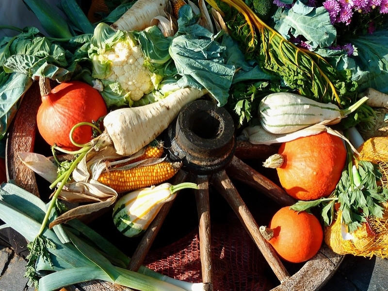 Le marché de Monthyon