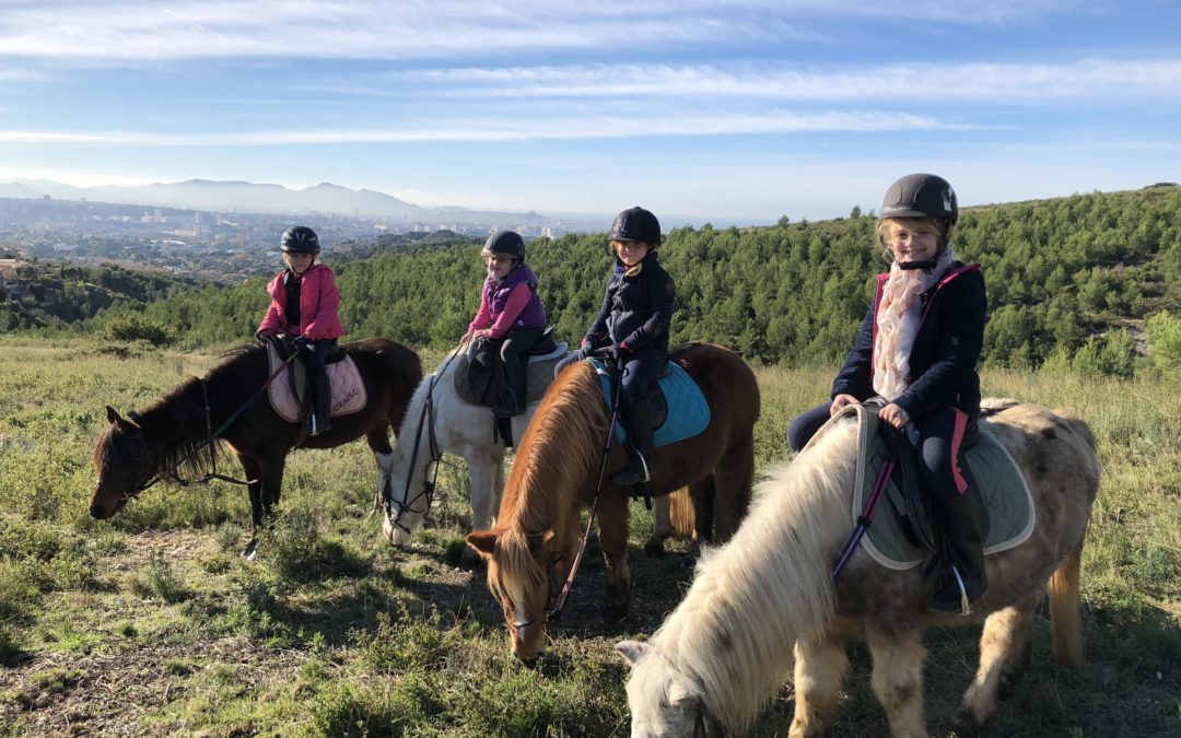 Cours d&rsquo;équitation à la Chevauchée de l&rsquo;étoile