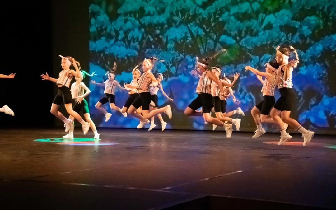 Studios Dance & Co