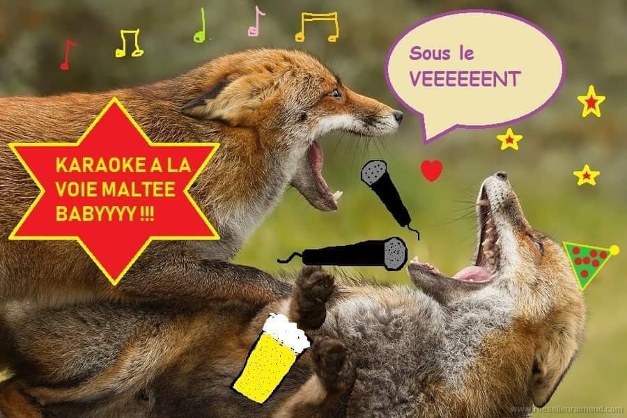 KAROKE By David Morrison à LA VOIE MALTÉE !