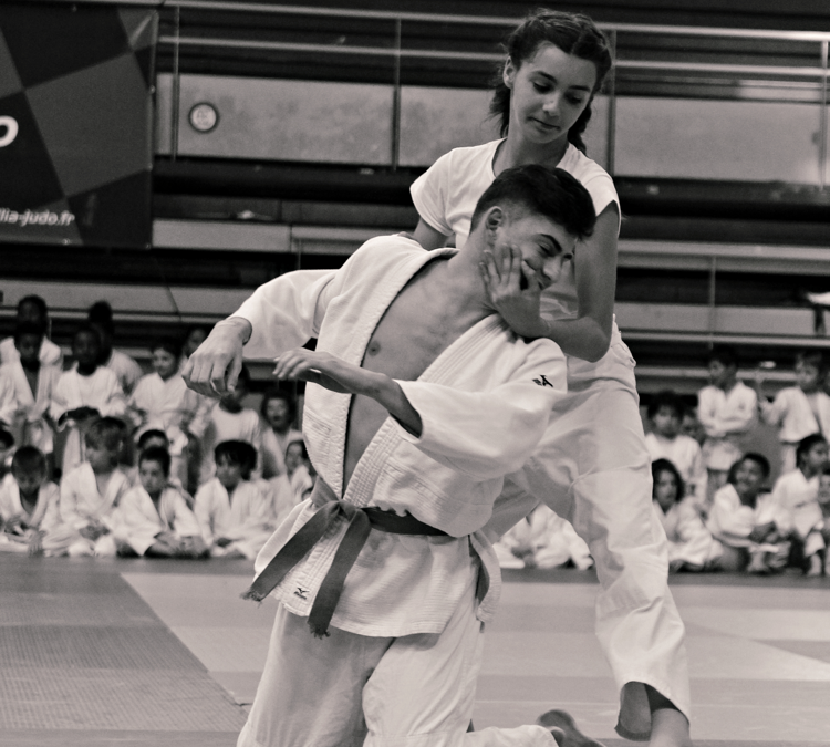 Massilia judo