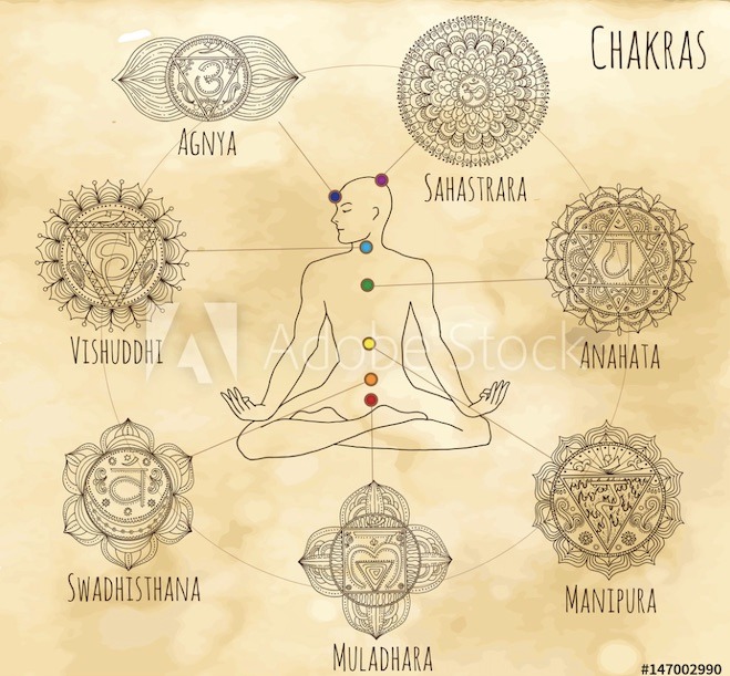 Stage intensif 3 jours : Hatha Yoga et Vinyasa