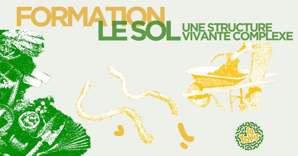 Formation : Le sol, une structure vivante complexe