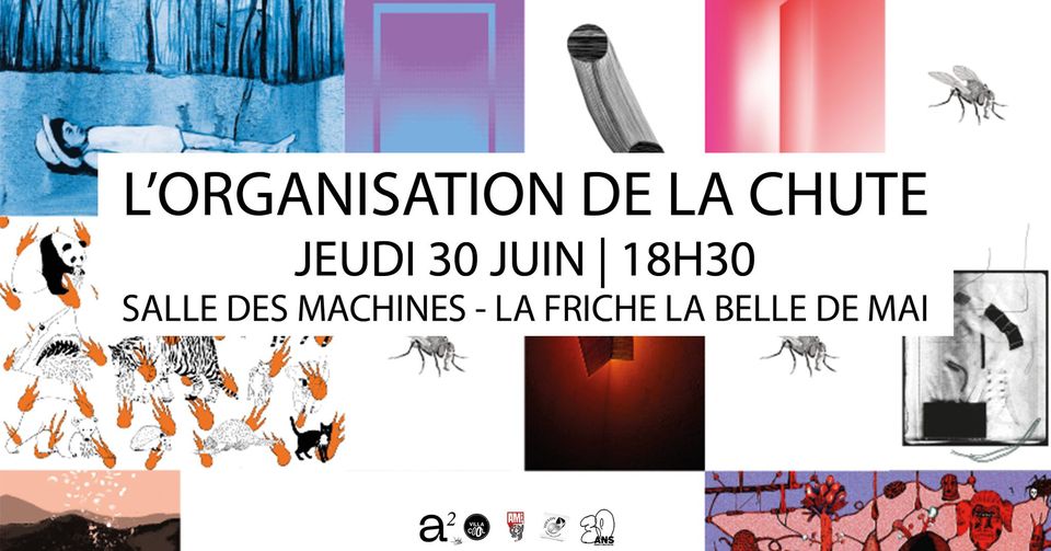 L&rsquo;ORGANISATION DE LA CHUTE #4