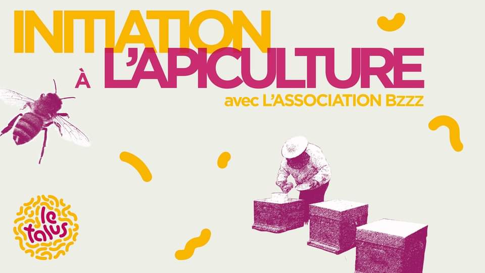 Initiation à l&rsquo;apiculture douce x AssoBzzz I Le Talus Village