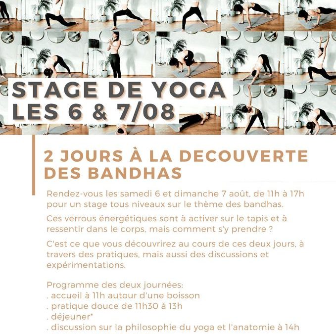 Stage de yoga tous niveaux