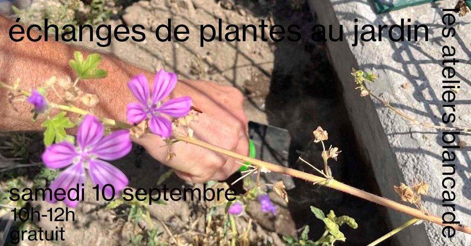 Echange de plantes et rentrée
