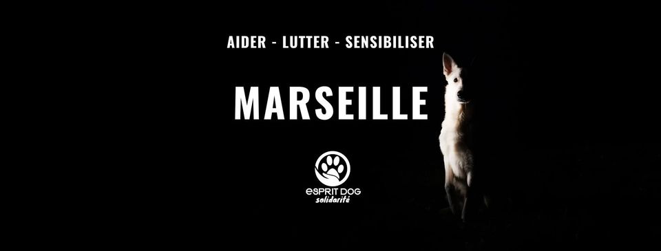 Tournée Esprit Dog Solidarité – Marseille