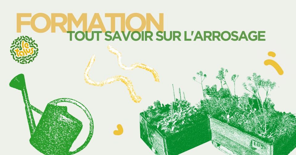Formation : Tout savoir sur l&rsquo;arrosage | Le Talus Jardin