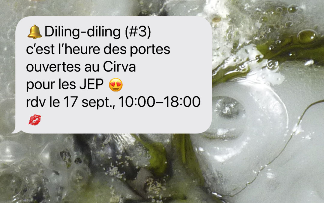 Diling-diling #3 — portes ouvertes au Cirva