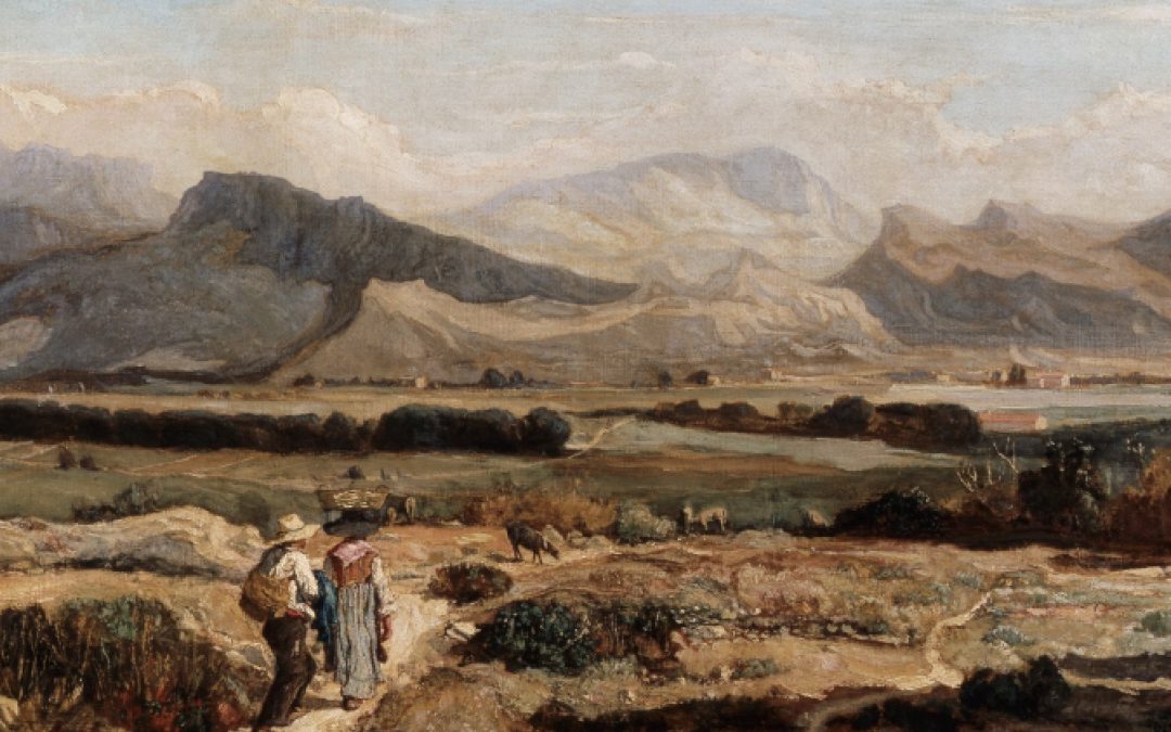 Collections du Musée des Beaux-Arts
