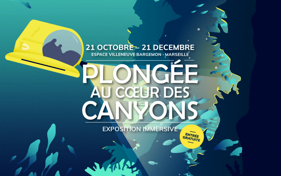 Plongée au coeur des canyons