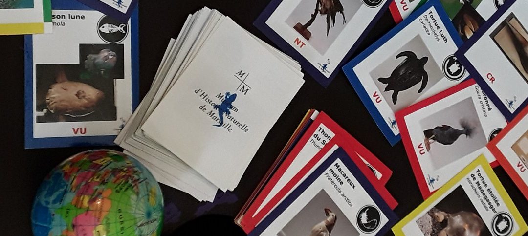 Les petits jeux du Muséum d&rsquo;Histoire Naturelle