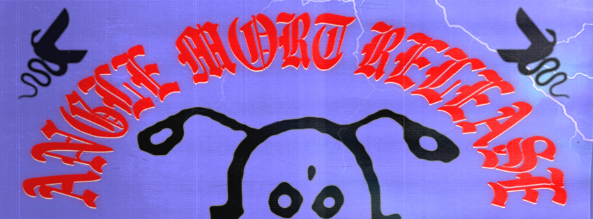 // ANGLE MORT RELEASE PARTY //