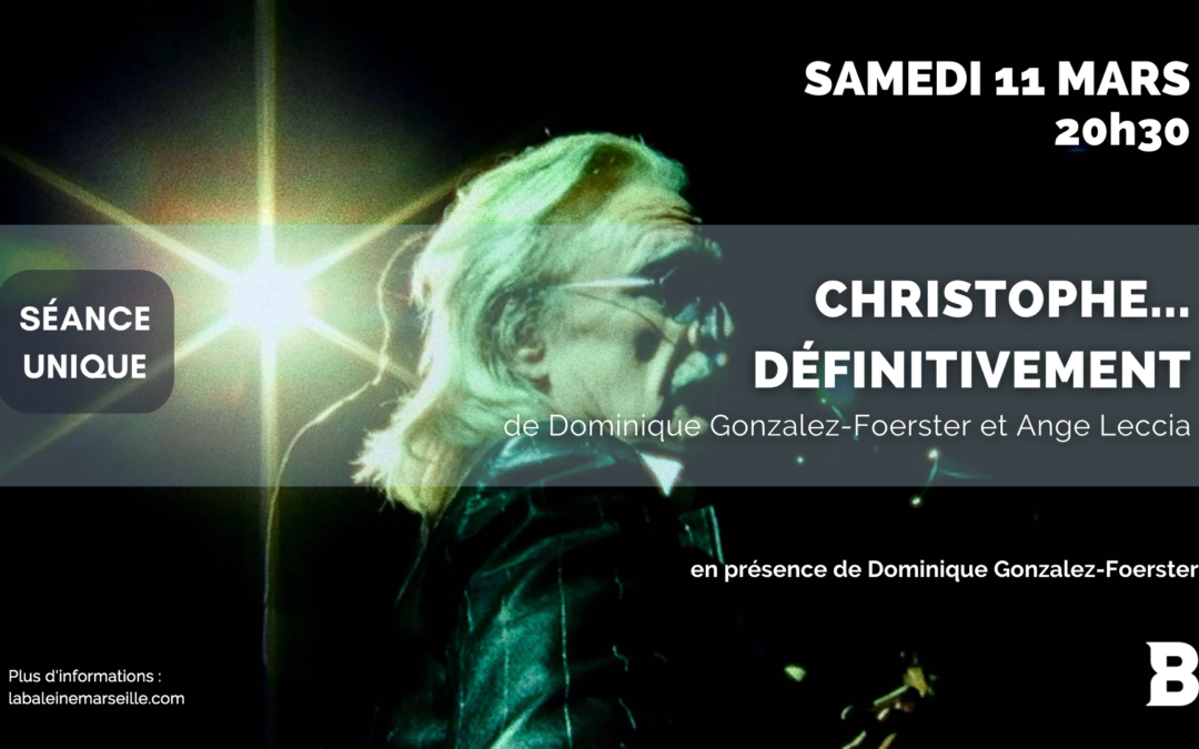 Christophe… Définitivement | Rencontre avec Dominique Gonzalez-Foerster
