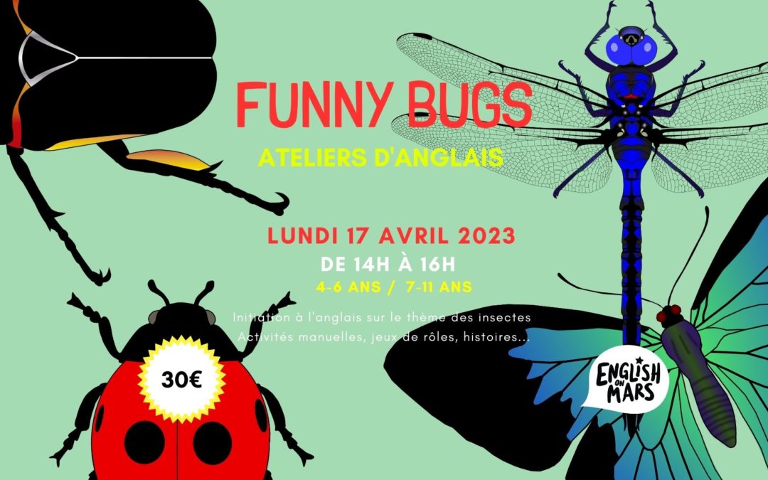 FUNNY BUGS : ATELIERS D&rsquo;ANGLAIS POUR LES 4-11 ANS