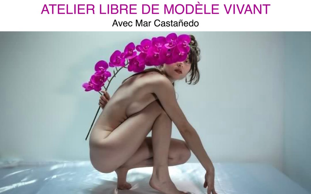 Dessin d&rsquo;apres modèle vivant + court metrage documentaire