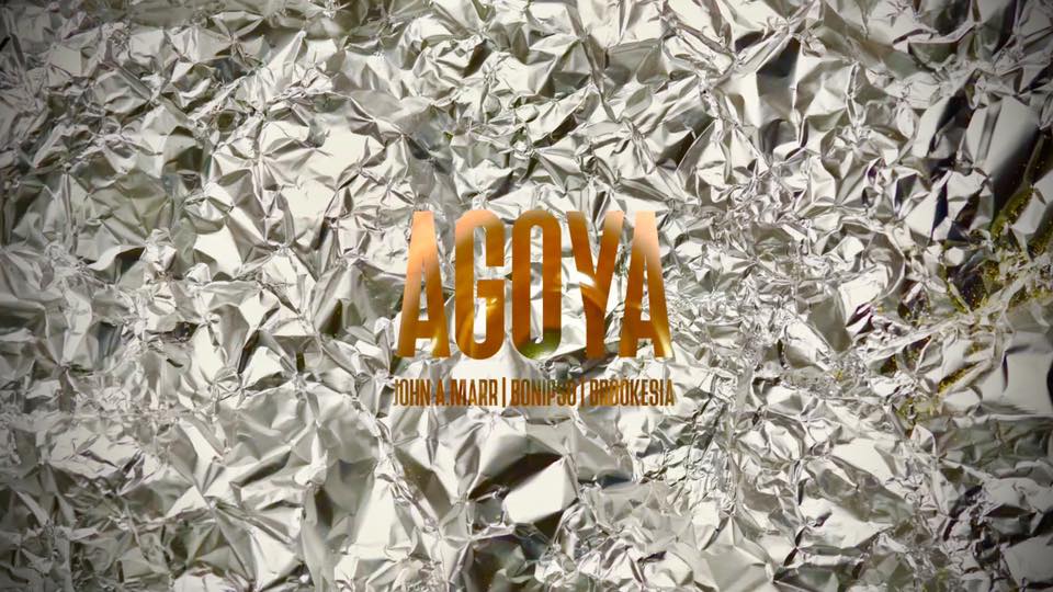 Agoya Street DJ set : Fête de la musique.