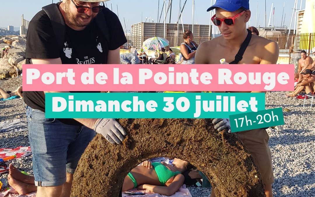 Dépollution du Port de la Pointe Rouge