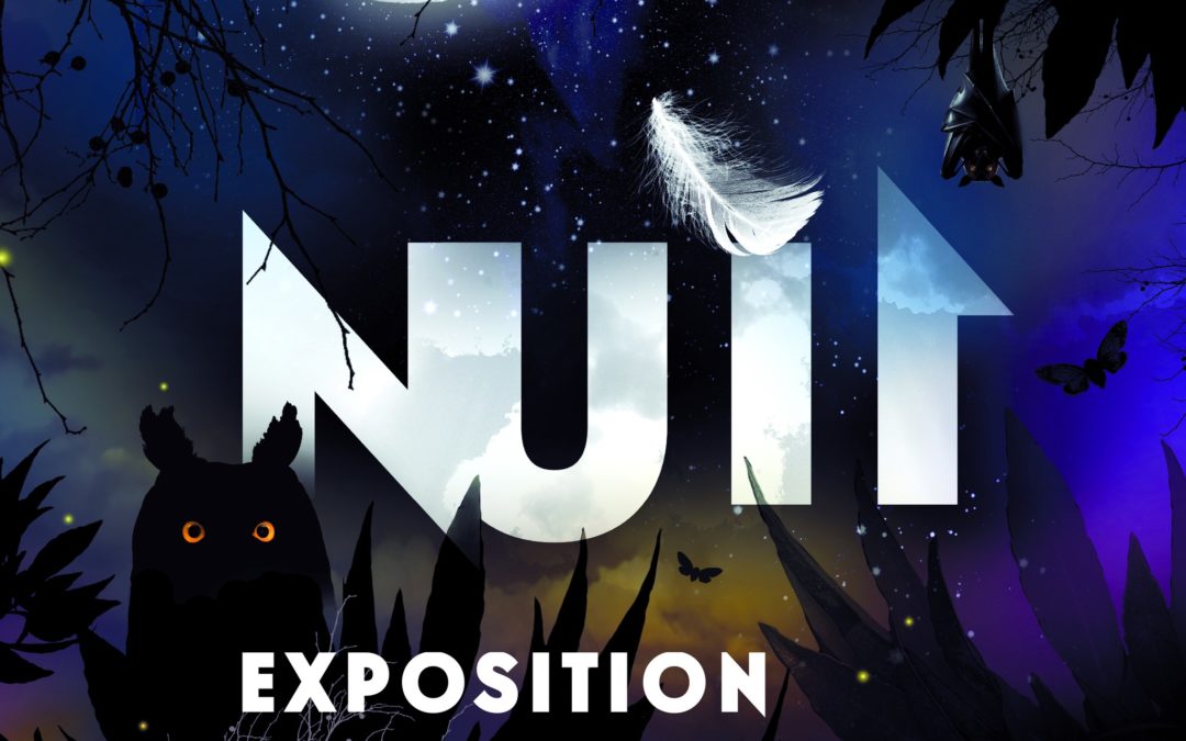 Nuit