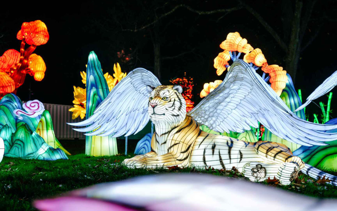 Festival des lanternes