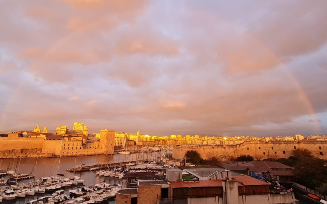 Plongez dans la magie des Fêtes au cœur du Sofitel Marseille Vieux-Port