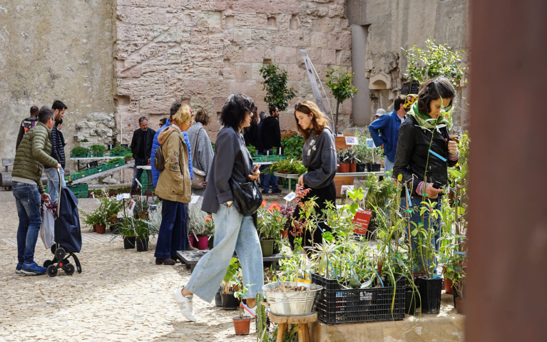 La Fête des plantes au Mucem