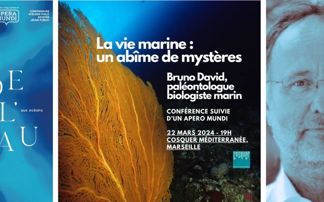 La vie marine : un abîme de mystères