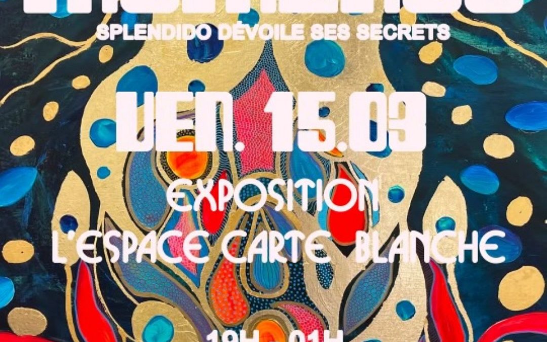Les Soirées Expositions du Momento