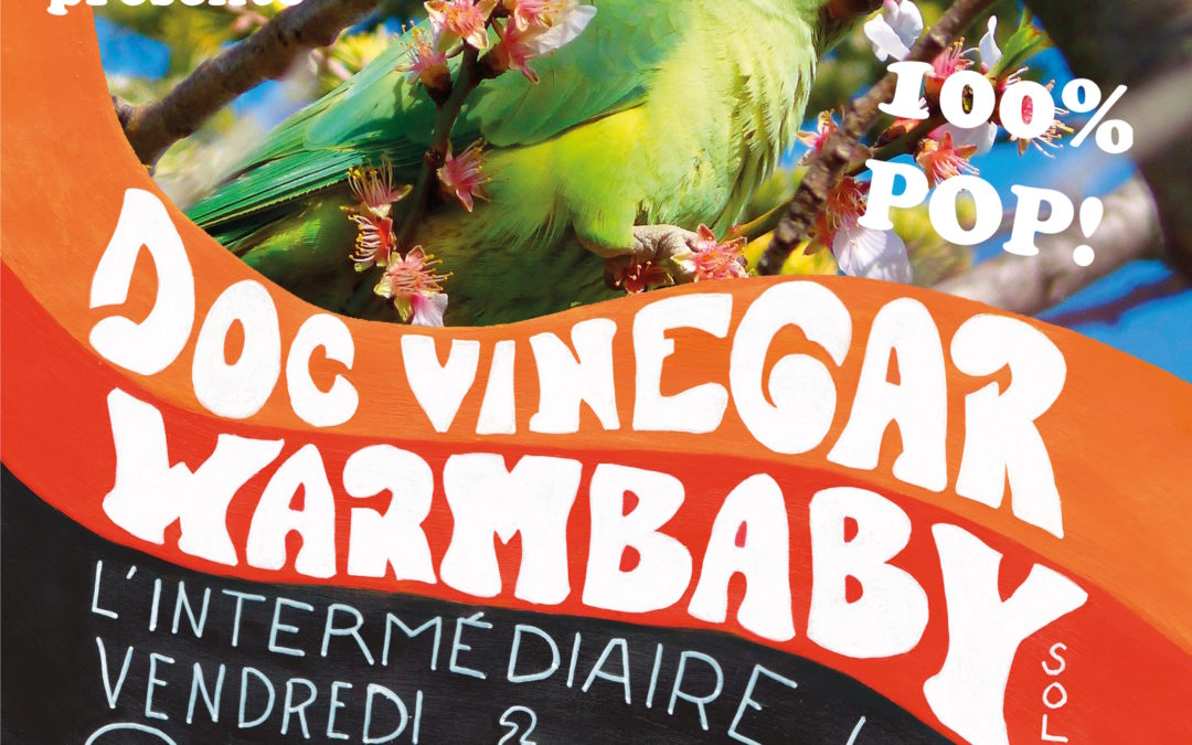 Concert  100% Pop avec Doc Vinegar + Warmbaby solo