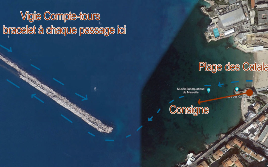 Les Dingues de la Digue 2024