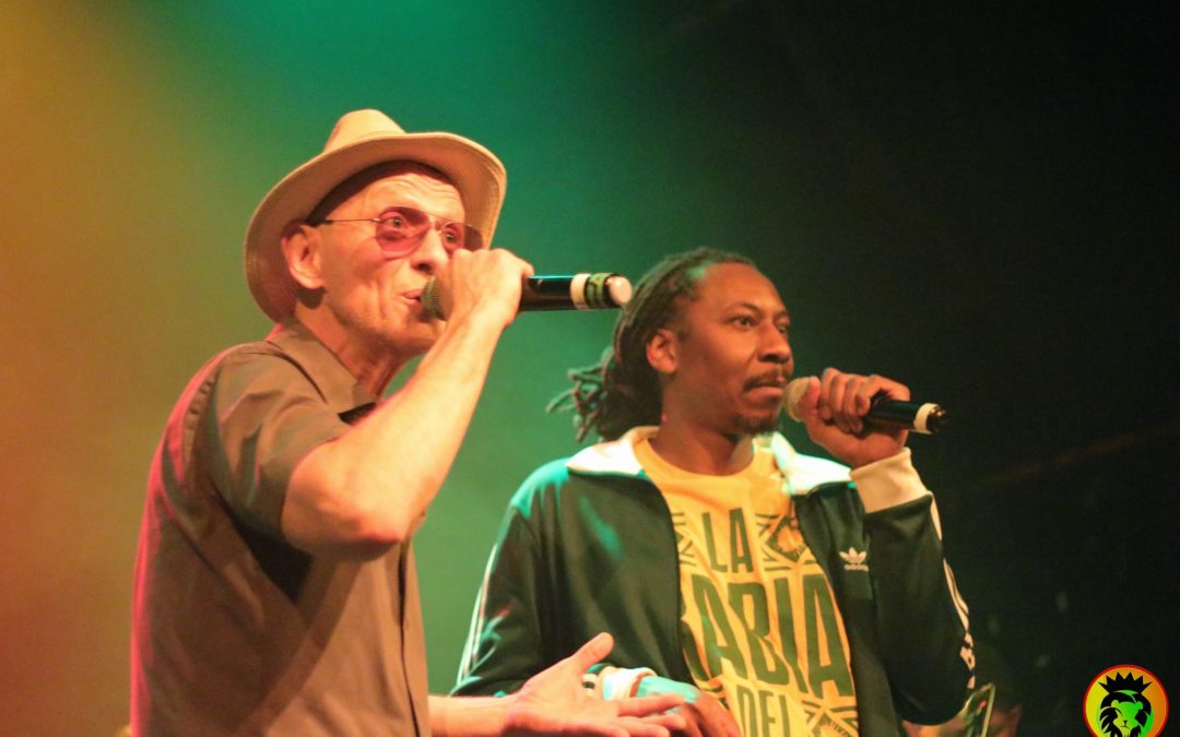OAI REGGAE PARTY | Spécial Toko Blaze