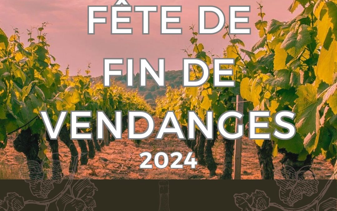 Mercredi Producteur/ Fête de fin de vendange