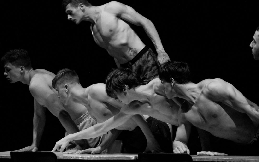 Rêves de cirque à Martigues jeudi 19 décembre