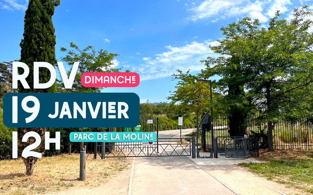 Dépollution de la Moline (Inscriptions obligatoires)