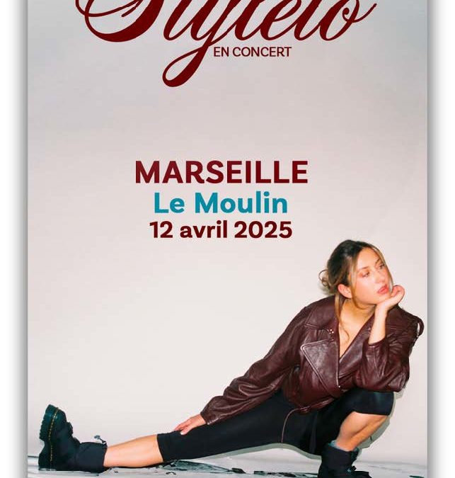 Styleto en concert