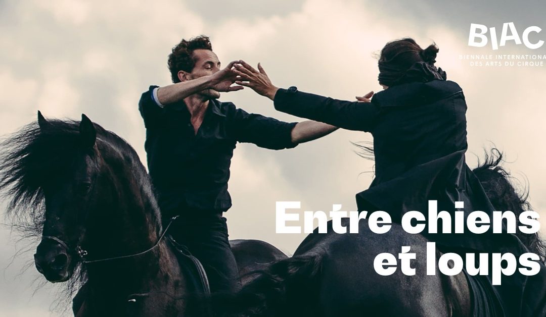 BIAC 25 | Entre chiens et loups, Théâtre du Centaure